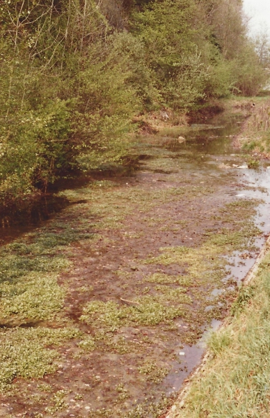 Aktion "Saubere Natur"