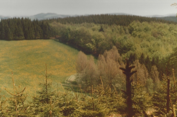 Maiwanderung Elspe-Oedinghausen