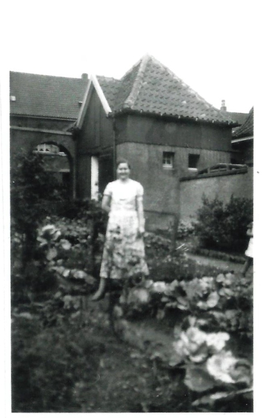 Kolonie Oege