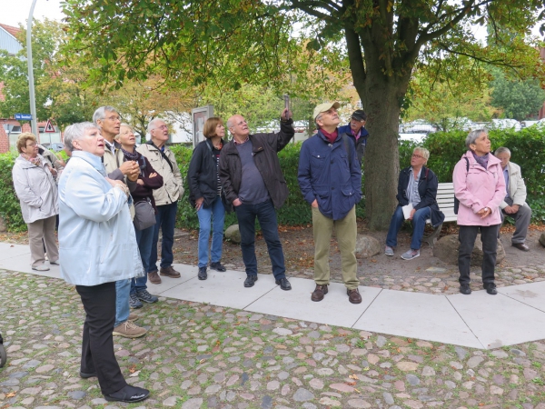 Rheda, sein Schloss und das Altstadtfest