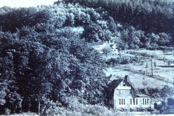 Märchenwald