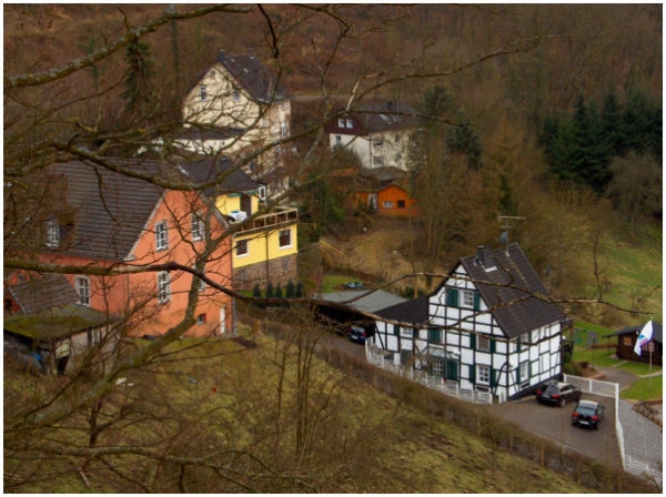 Blick auf den Forstweg