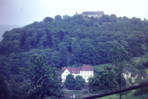 Blick zum Schloss