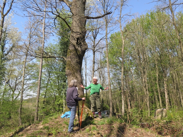 Reher Galgen 16.04.2020