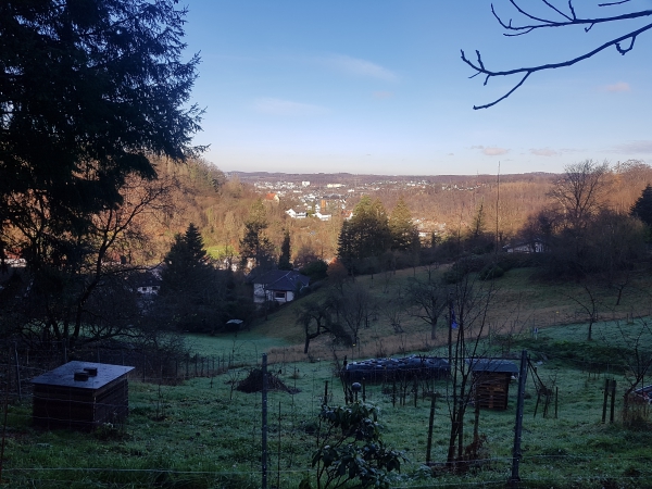 Blick Alter Schlossweg Richtung Innenstadt