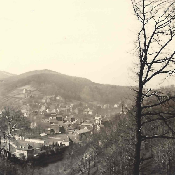 Blick vom Oeger Wald