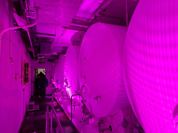 Privatbrauerei Moritz Fiege