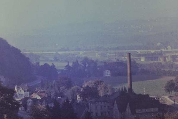 Blick auf Elsey