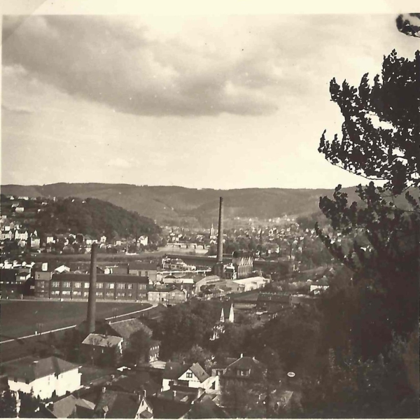 Blick vom Weissenstein / Richtung Elsey