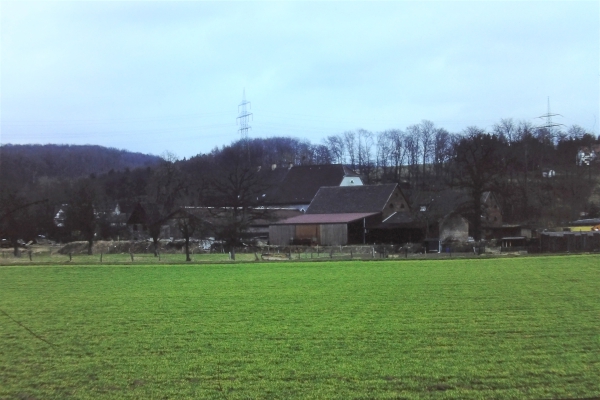 Hof Reckermann, Reh (von Westen)