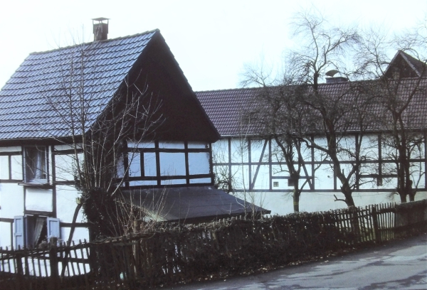 Niederreh