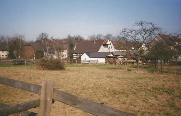 Hof Schucht, Reh
