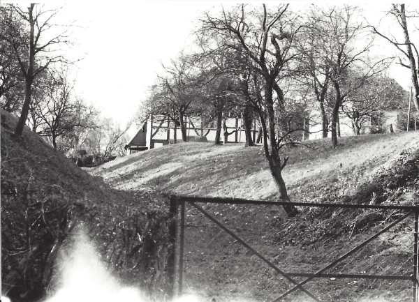 Drees mit altem Wirtschaftsweg, Henkhausen