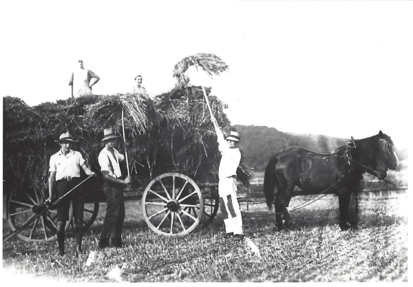 Hof Risse, Reh. Einfahren der Garben