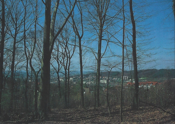 Blick vom Steltenberg zum Kirchenberg