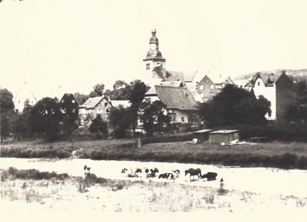 Elsey Im Stift