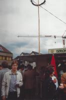 Maibaum für Elsey 1983