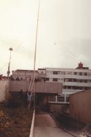 Maibaum für Elsey 1983