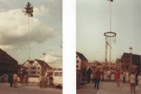 Maibaum für Elsey 1983