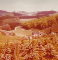 Maiwanderung Elspe-Oedinghausen