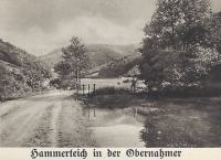 Hammerteich in der Obernahmer