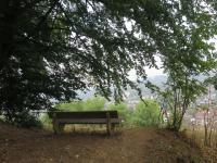 Wanderung Burgberg in Oestrich