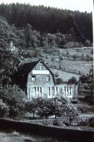 Mrchenwald