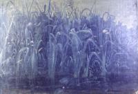 Maler Tilmann - Motive