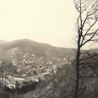 Blick vom Oeger Wald