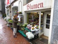 Blumen Stenner