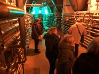 Privatbrauerei Moritz Fiege