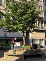 Neubepflanzung