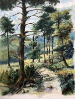 Waldweg bei Hohenlimburg