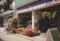 Blumen Stenner