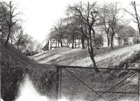 Drees mit altem Wirtschaftsweg, Henkhausen