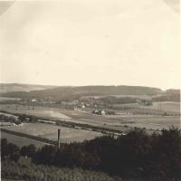 Blick von Weissenstein auf Reh