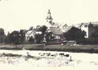 Elsey Im Stift