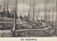 Die Raffenburg
