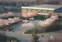 Turnhalle Gymnasium Elsey